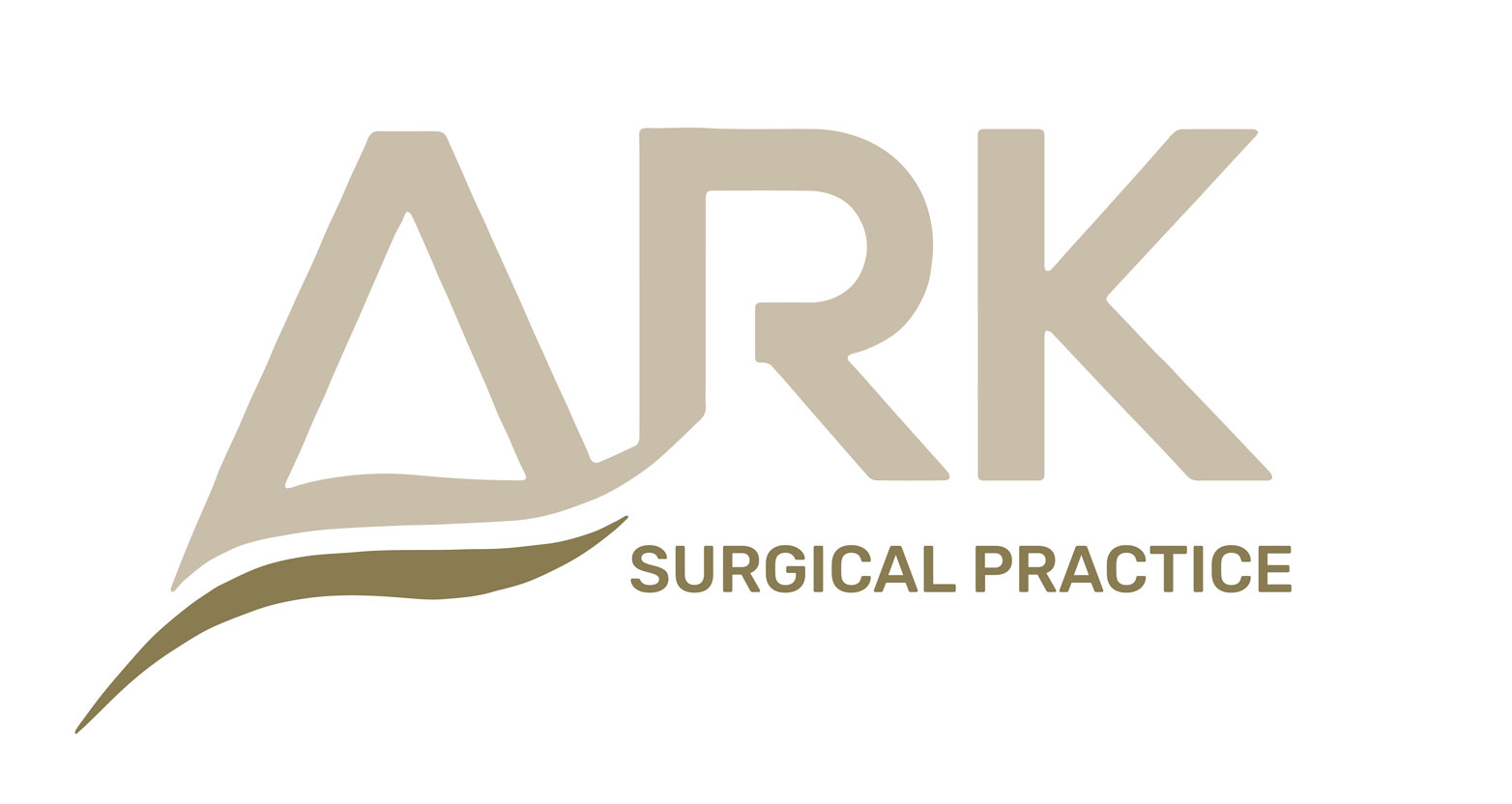 Ark Surgical Practice