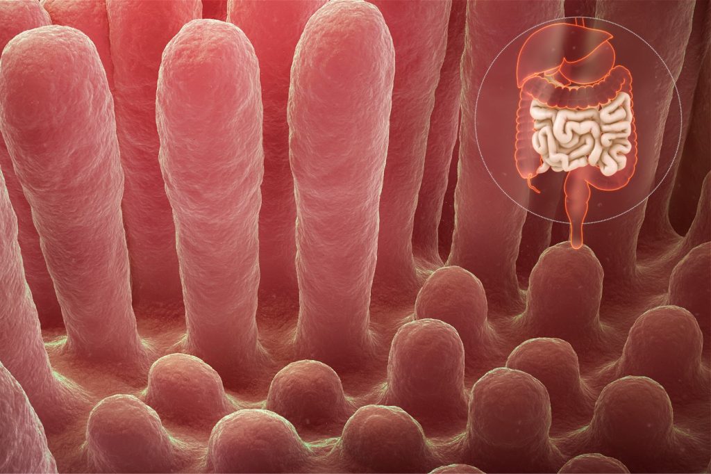 Coeliac Disease Singapore