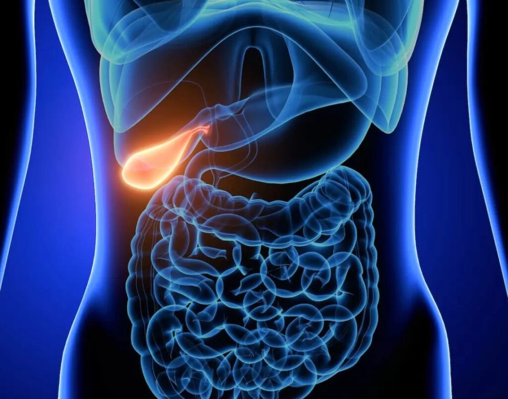 Laparoscopic Gallbladder Removal Singapore
