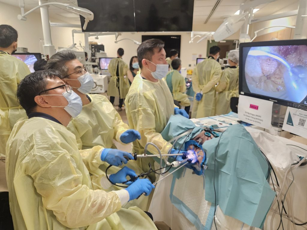 c4808f76 71c0 44d8 879c b2749b37c848